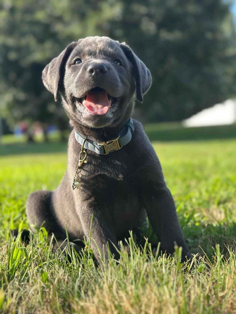 Selena | Charcoal Female– Pick 3 of 3 (Ready July 26th)