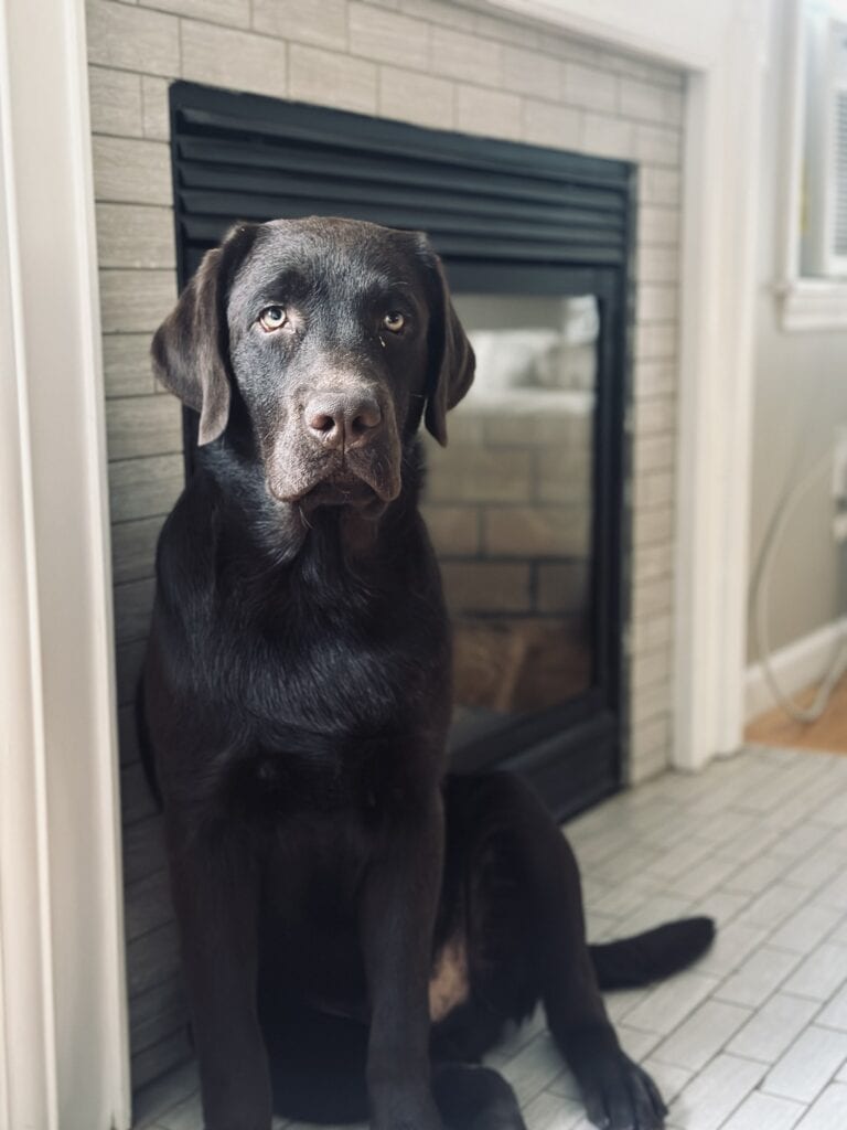 Guinness